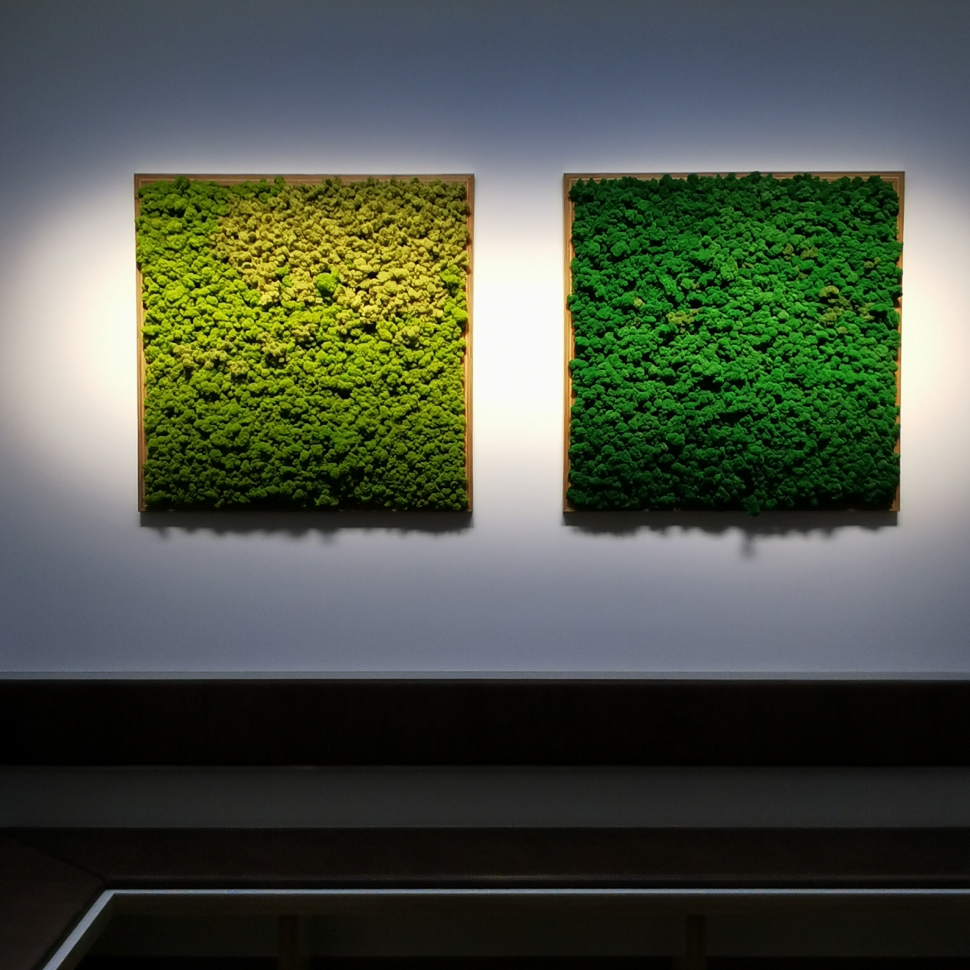 Beleuchtetes Moosbild – Unikat aus der LUMIKAT Manufaktur